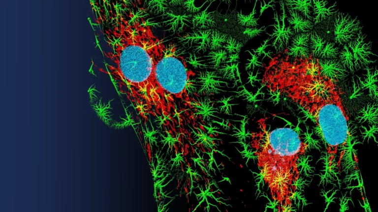 MATLAB in Academia Data Processing in Super-Resolution Microscopy